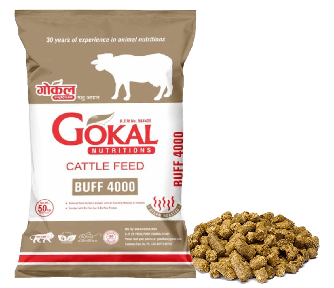 Gokal Cattle Feed - Gokal Buff 4000