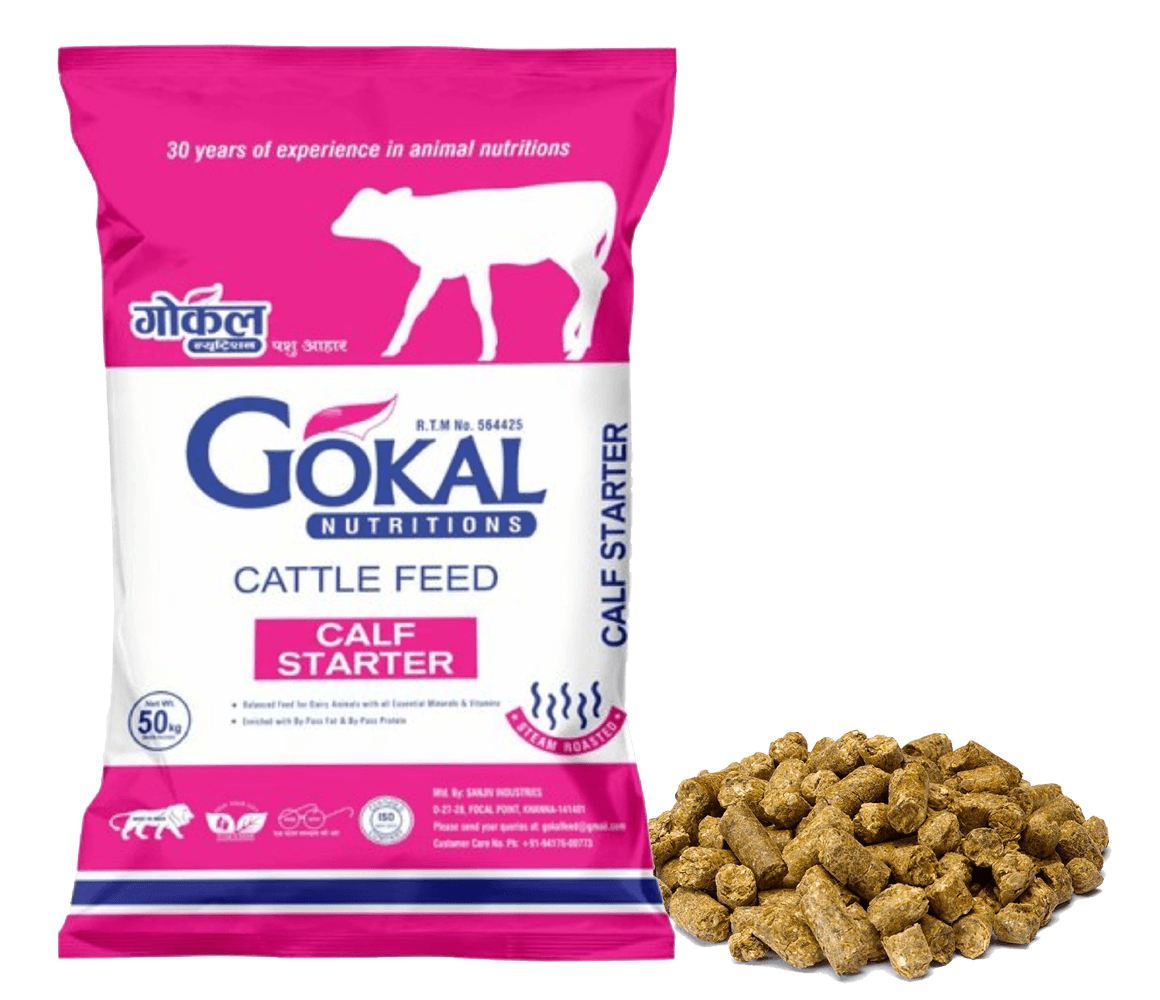 Gokal Cattle Feed - Gokal Calf Starter